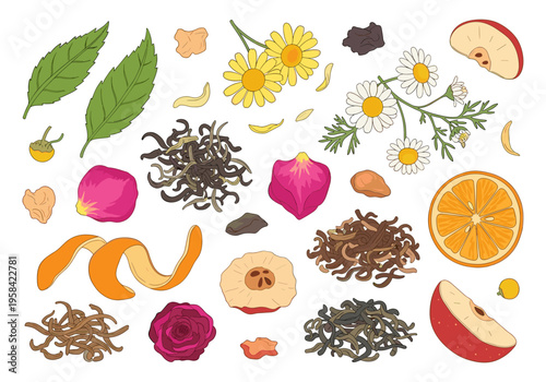 Collection of loose leaf tea ingredients and dried fruits for herbal infusions