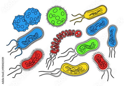 Colorful cartoon illustration of various bacteria and viruses on a white background