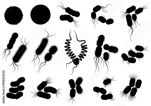 Collection of diverse black silhouette bacteria and microbes on white background