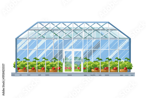 Illustration of a modern greenhouse with plants and red produce inside