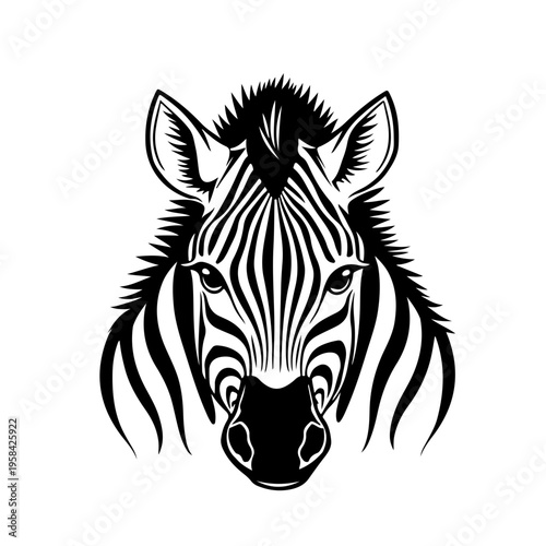 zebra vector illustration