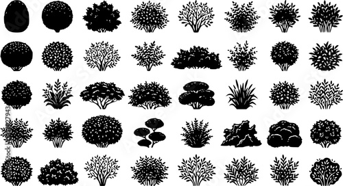 Collection of black shrub silhouettes arranged on a white background – Black Vector Illustration