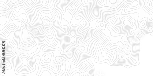 Abstract minimal vector topography area map creative discovery. White wave grid stripe line map topography. vector geographic contour mounted map background.