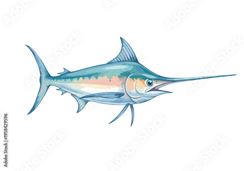 Majestic blue marlin fish illustration with sharp bill and fins