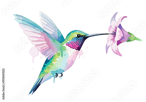 Watercolor hummingbird with vibrant colors sipping nectar from a delicate purple flower