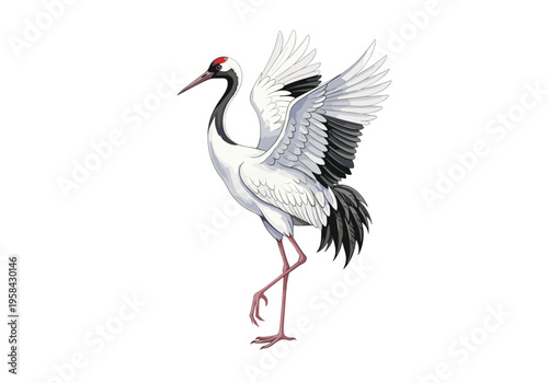 Elegant red-crowned crane with wings spread in a graceful pose on a white background