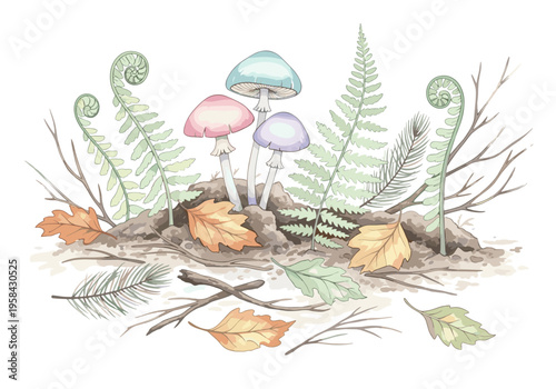 Whimsical forest floor illustration with pastel mushrooms and ferns