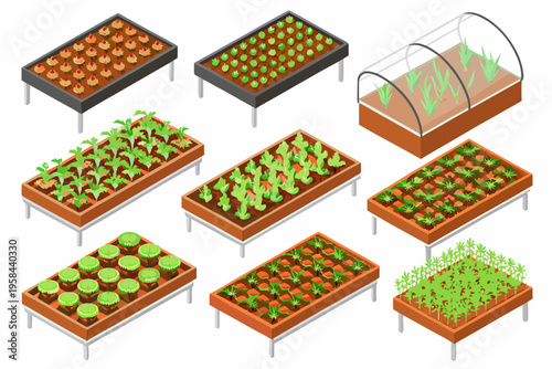 Isometric illustration of various stages of plant growth in garden beds