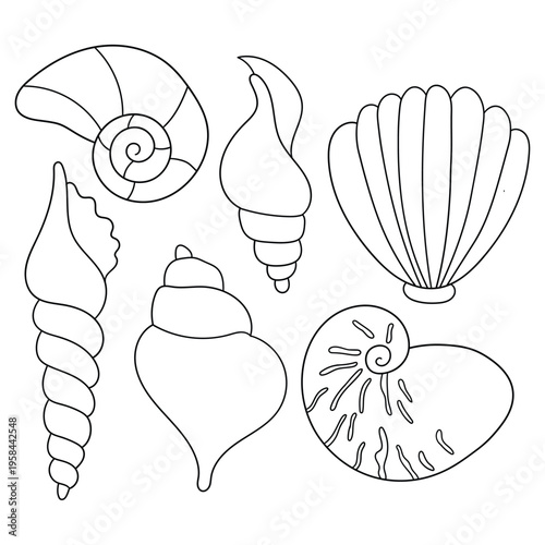 Hand-drawn doodle set of seashells on a white background.
