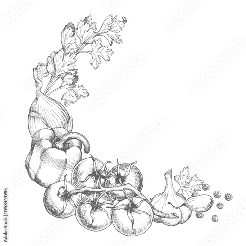 Wreath of the cauliflower, black pepper, garlic, bell pepper, onion and parsley. Vector ink styled handmade illustration. For packaging design, cards, cover, prints, product labels and fabric.