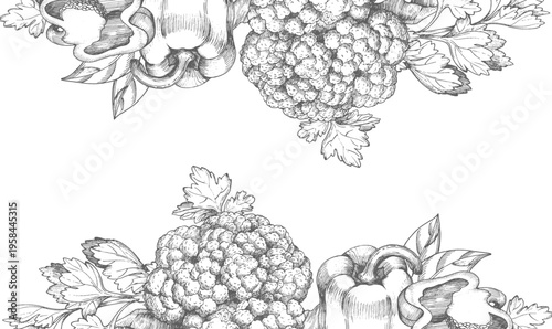 Frame of the cauliflower, bell pepper and parsley. Vector ink styled illustration. For packaging design, cards, cover, prints, product labels and fabric.