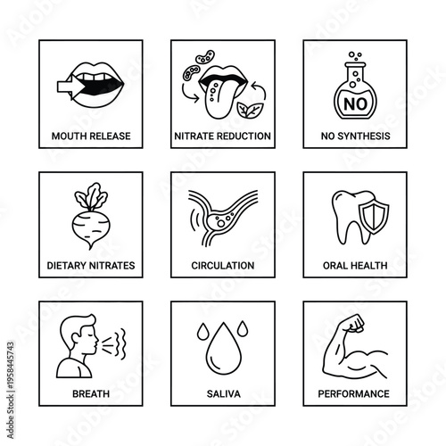 Set of Icons Illustrating Health and Performance Benefits.