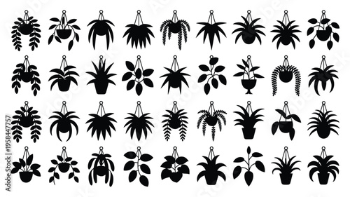 Collection of hanging plants and potted flowers in black silhouette on white background for decoration and design