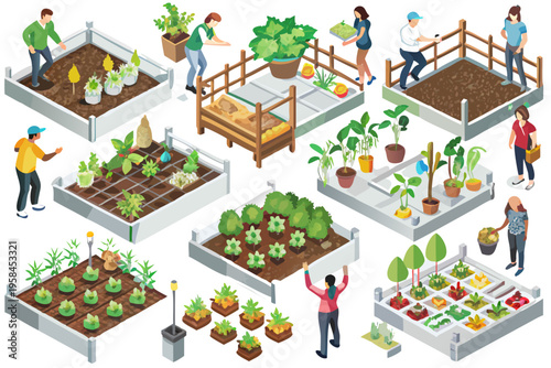 Isometric illustration depicting people enjoying community gardening and urban farming