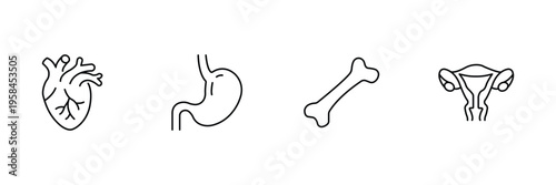 Human internal organ anatomy icon set featuring heart stomach bone uterus eye brain pancreas and intestine for medical vector illustration.