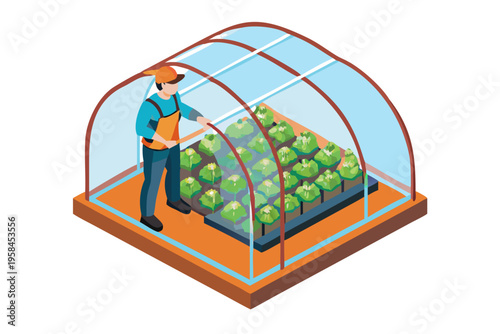 Isometric illustration of a gardener tending vegetables within a greenhouse