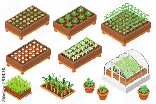 Isometric garden beds showcase various stages of plant growth and cultivation