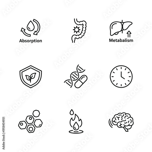 Set of Icons Representing Health and Biological Functions.