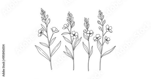 Elegant floral line art with delicate wildflower stems and blossoms