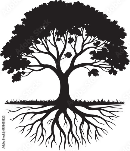 Silhouette of a tree isolated on transparent background
