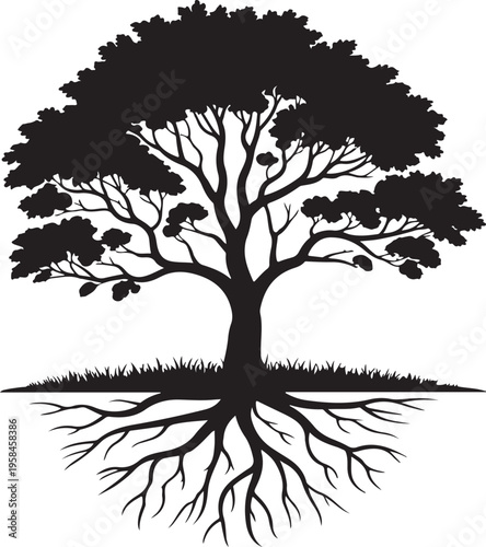 Silhouette of a tree isolated on transparent background
