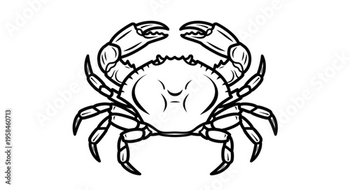 Detailed Line Art of a Crab with Prominent Claws and Legs.