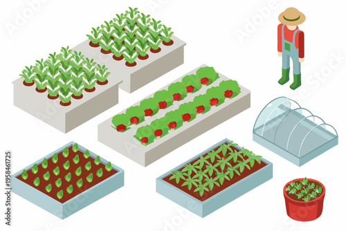 Isometric illustration of a small organized garden with various crops