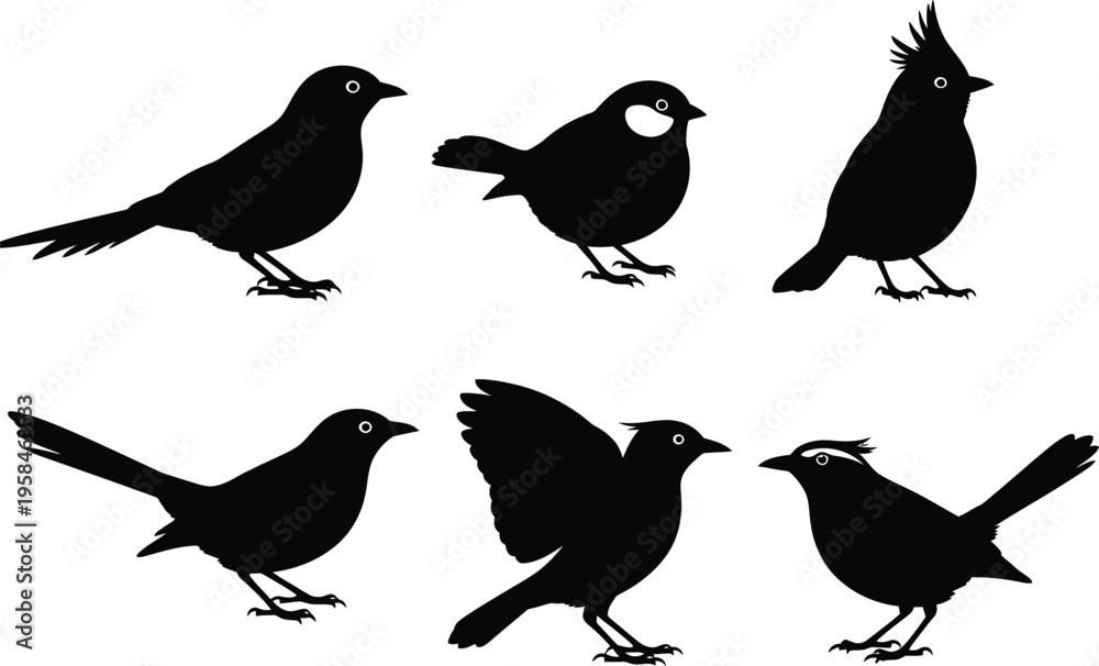 Fototapeta premium Collection of six black silhouette bird illustrations in various poses