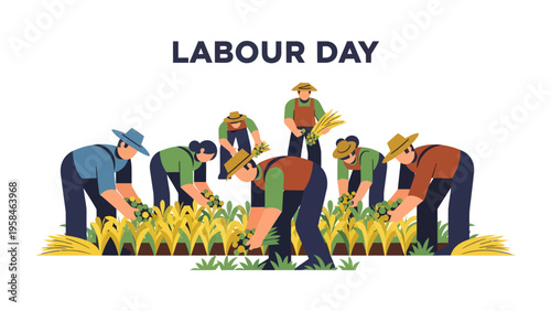Labour Day Harvest: A dedicated team of agricultural workers diligently tend to a bountiful harvest under the sun, honoring the spirit of labor and prosperity. 