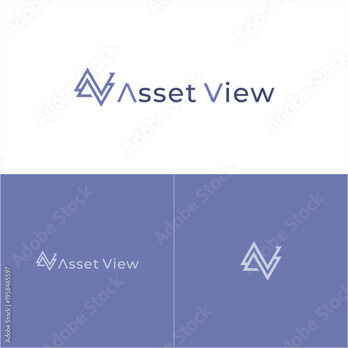 Asset View Logo Design Elements.