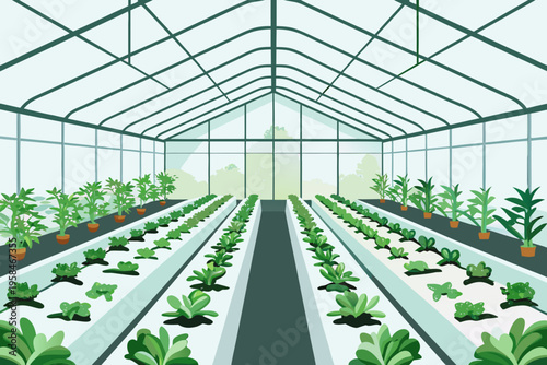 A vibrant greenhouse interior filled with rows of leafy green plants