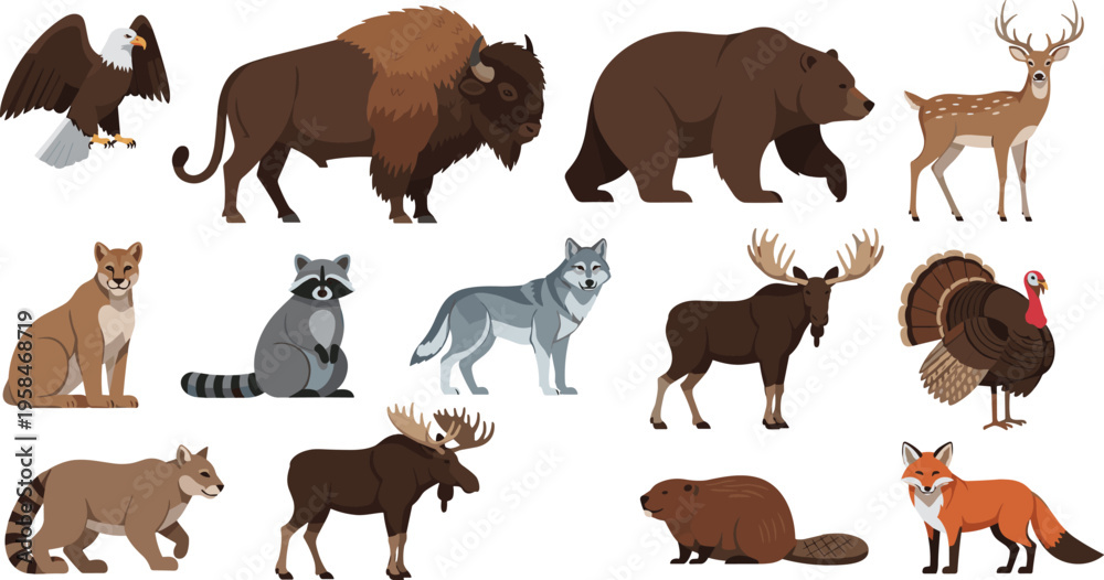Obraz premium Wild Animal Character Set with Bears, Eagles, Deer, Foxes, and Other Forest Creatures for Nature, Wildlife, and Educational Designs
