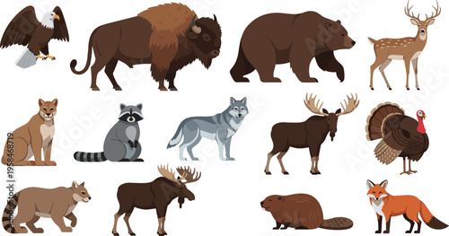 Wild Animal Character Set with Bears, Eagles, Deer, Foxes, and Other Forest Creatures for Nature, Wildlife, and Educational Designs