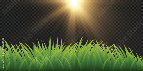 Beautiful panoramic natural landscape of a green field with grass against sky with sun.Vector