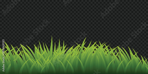 Beautiful grass and flower landscape