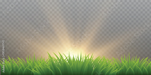 Illustration of green grass with sun.Summer background