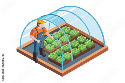 A gardener tending to lush plants inside a small greenhouse structure
