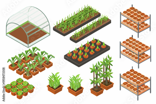 Isometric illustration of a greenhouse seedlings and plant propagation setup