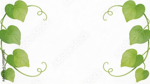 Green leafy vines on white background