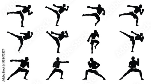 Silhouettes of martial artists performing dynamic kicks punches and defensive stances in a minimalist black and white design ideal for fitness and self defense themes