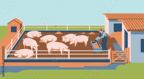 Farm animals pigs in pen with farmer feeding them.