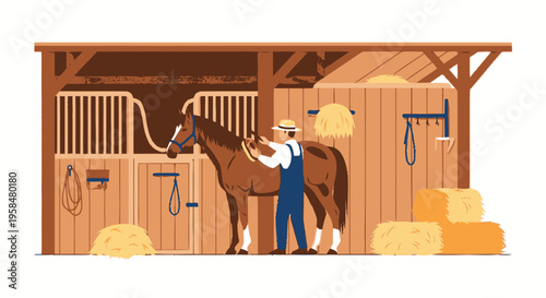 Farmer Brushing A Brown Horse In A Stable.