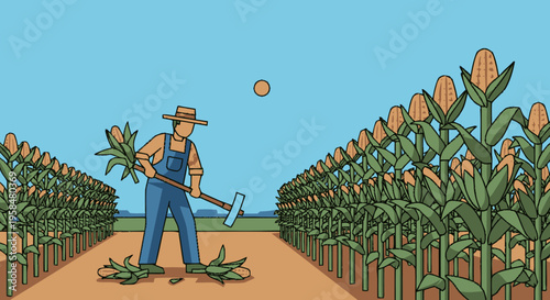 Farmer Harvesting Corn in a Field.
