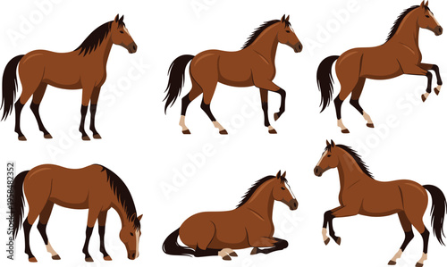 Horse poses collection illustration showing standing, walking, grazing, rearing and resting brown horse positions, detailed farm animal set for equestrian, wildlife and ranch design