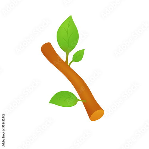 Flat vector illustration of a tree branch with green leaves. Simple natural element symbolizing growth, spring, ecology, and freshness. Isolated on a clean background.