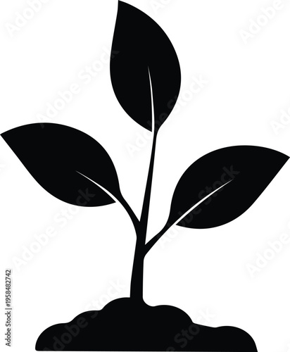 Young Plant Seedling Growing in Soil Silhouette.