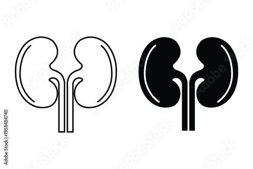 Kidney icon for medical health. Kidney icon vector, Kidney disease Nephritis kidney function Icon. Vector illustration. 