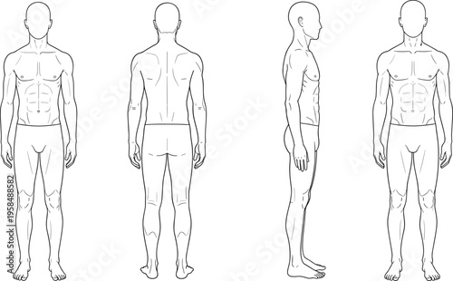 Human anatomy male figure illustration front, back, side, three‑quarter views, muscle definition focus, medical educational drawing, fitness training concept
