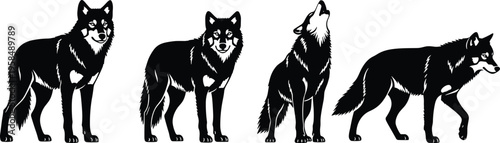 Wolf silhouette set with howling, standing, and walking poses, wild timber wolf vector illustration collection.