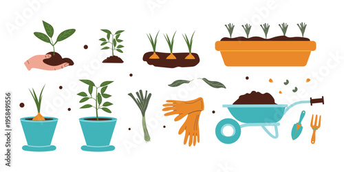 A set of elements for growing and breeding seedlings, drawn by hand. Vector illustration.